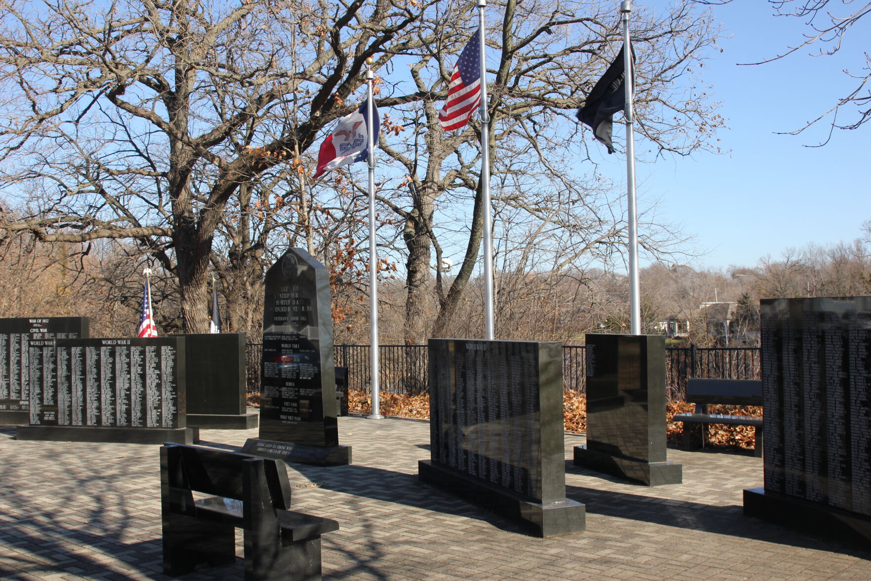 IF_Veterans_Day_2020 (1).JPG
